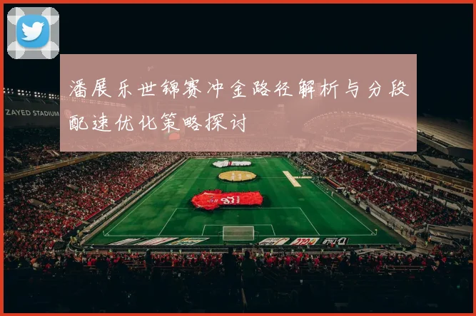 潘展乐世锦赛冲金路径解析与分段配速优化策略探讨